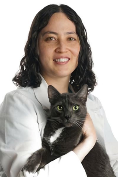Hope Veterinary Oncology Services - husky