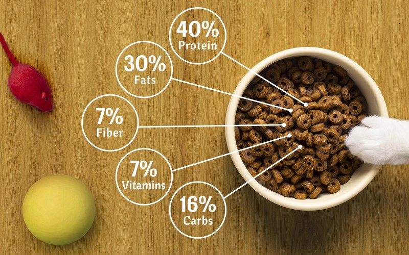 Role of Nutrition in Cancer Care